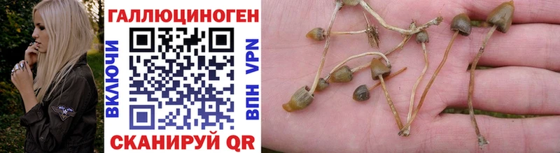 Псилоцибиновые грибы Cubensis  наркошоп  hydra как войти  Разумное 